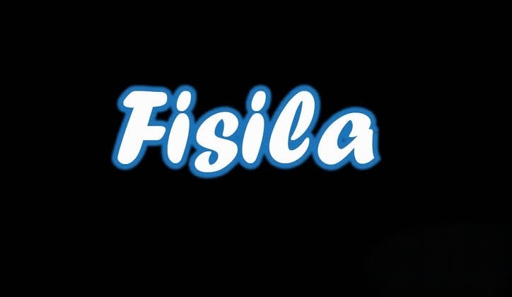 Fisila Explained: Meaning, Origins, Uses and Modern Identity